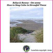 How to Stay Calm in Stressful Times, audio download