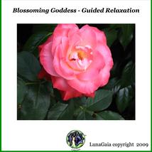 Guided Meditation Audio Download